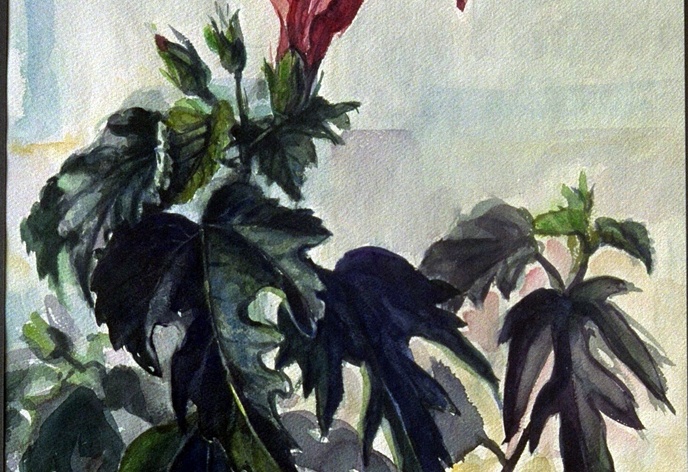 JS1219